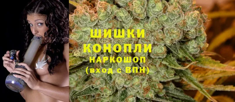 как найти наркотики  Трёхгорный  KRAKEN зеркало  МАРИХУАНА White Widow 